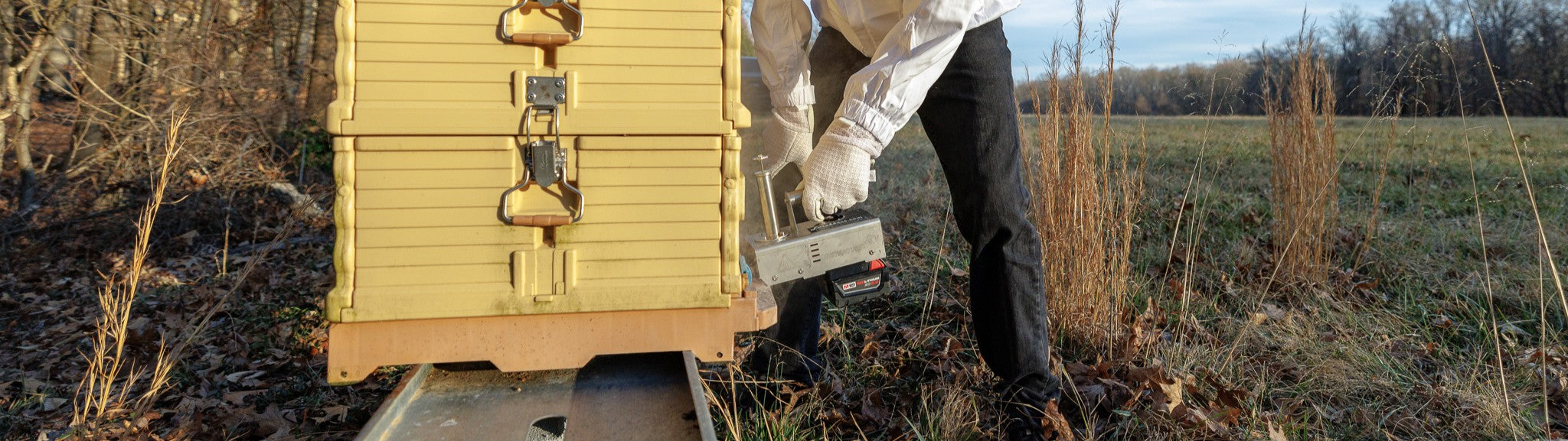 From Panic Mode to Prevention: Our Summer Oxalic Acid Routine