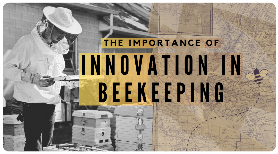 The Importance of Innovation in Beekeeping and Livestock