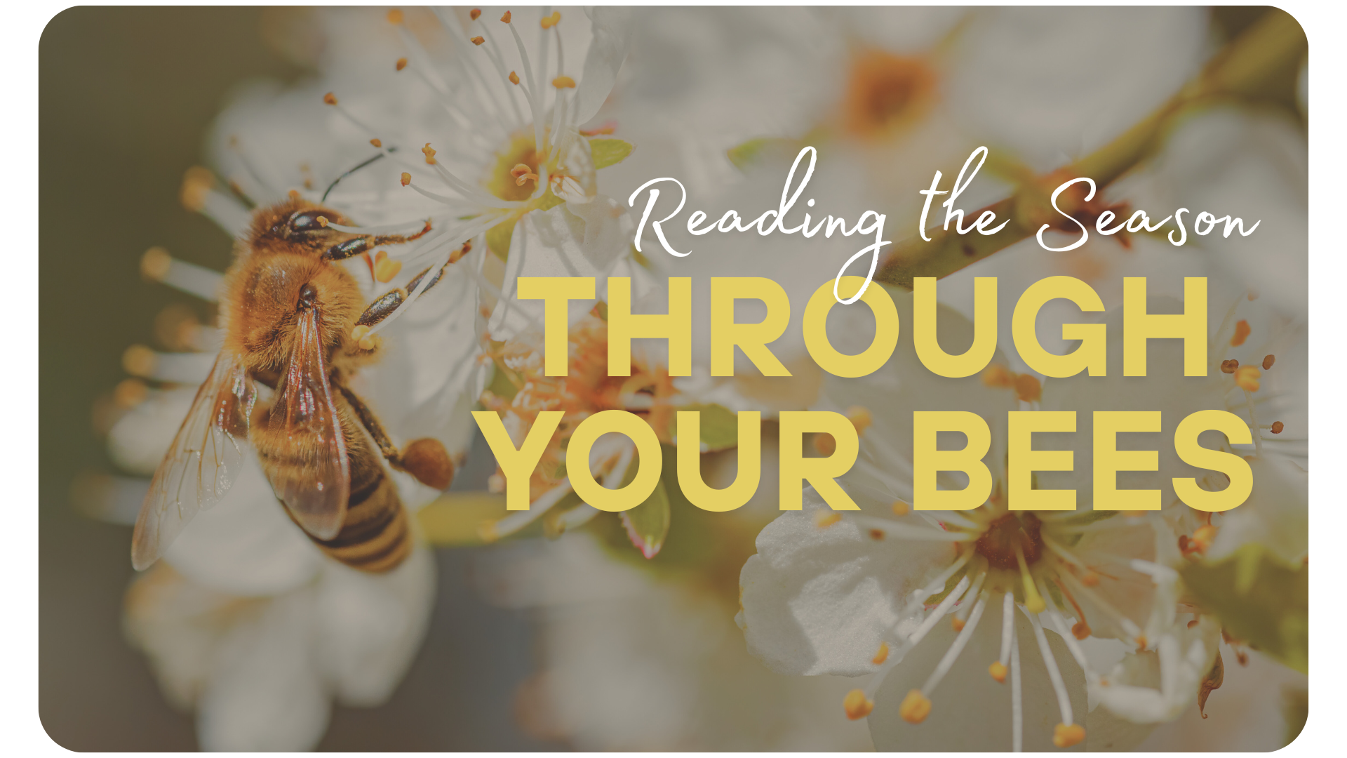 Spring Buzz – A Quick Guide for Mid-Atlantic Beekeepers