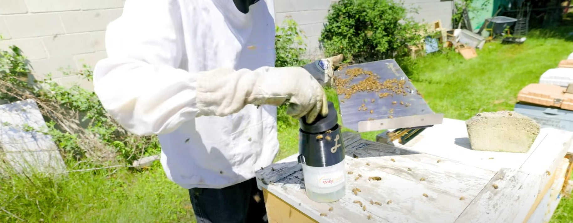 Lorob Bees: Innovating for the Future of Beekeeping