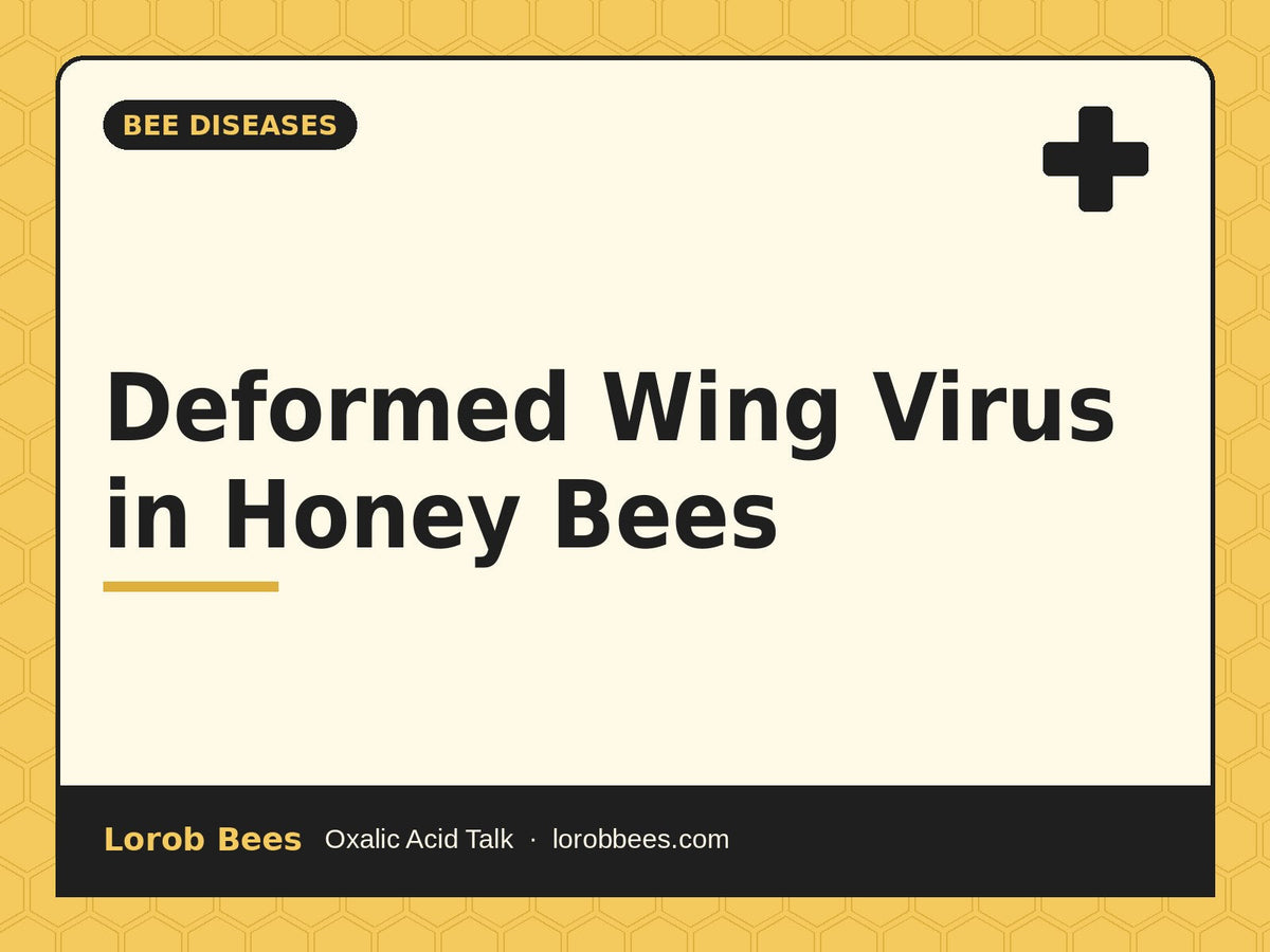 Deformed Wing Virus in Honey Bees – Lorob Bees Oxalic Acid Talk
