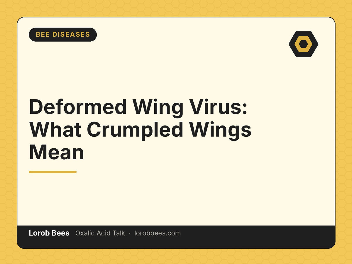Deformed Wing Virus: What Crumpled Wings Mean – Lorob Bees Oxalic Acid Talk