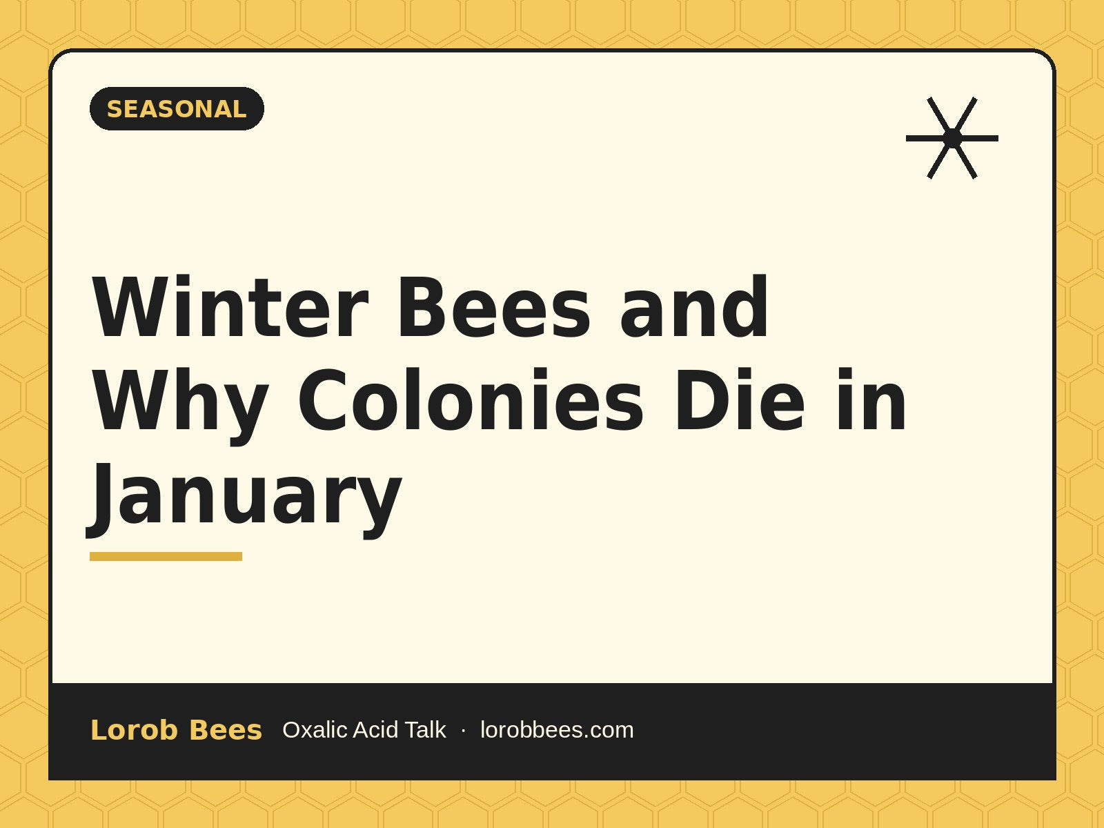 Winter Bees and Why Colonies Die in January – Lorob Bees Oxalic Acid Talk