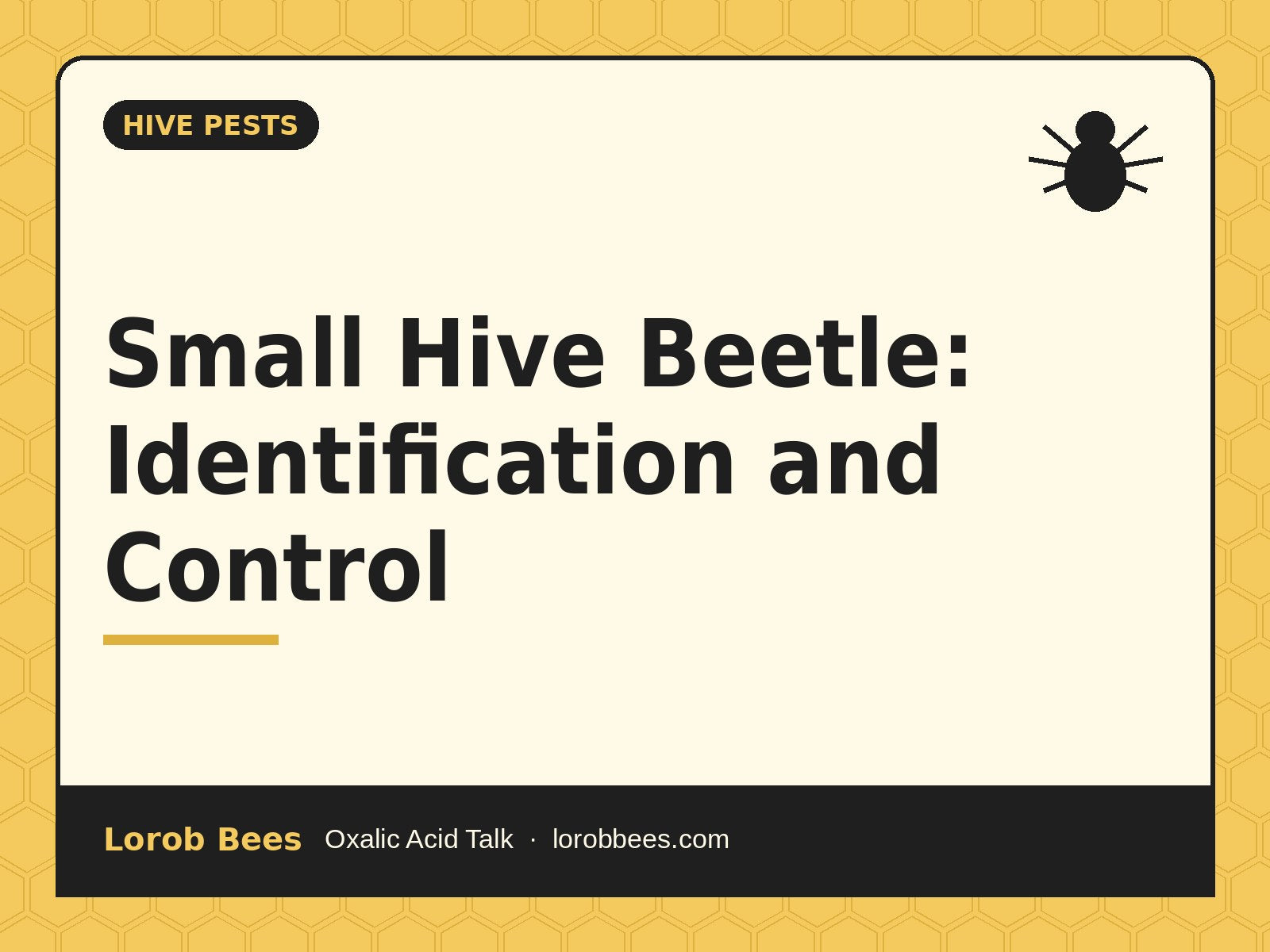 Small Hive Beetle: Identification and Control – Lorob Bees Oxalic Acid Talk
