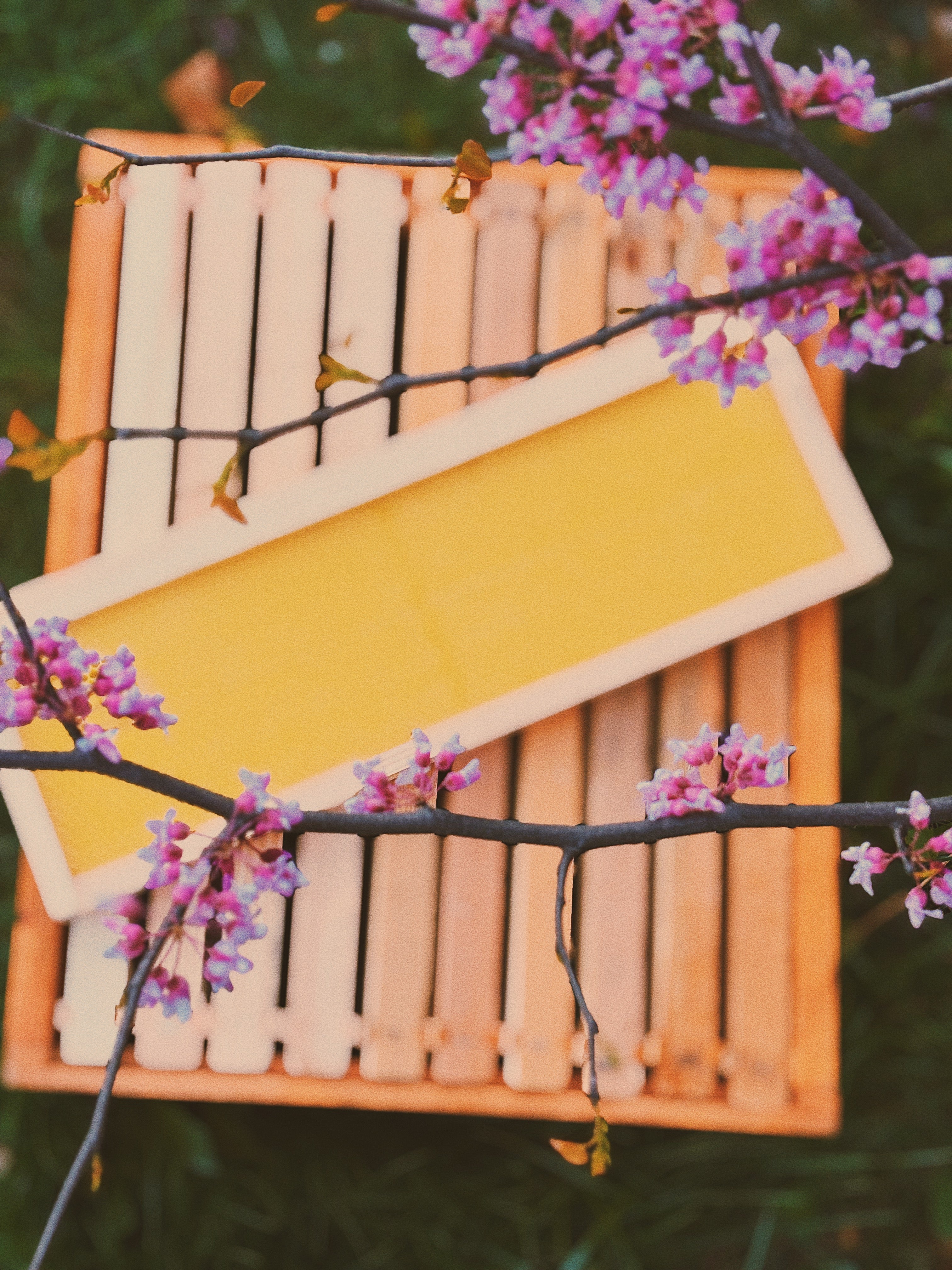 Lorob Bees: Ready Comb