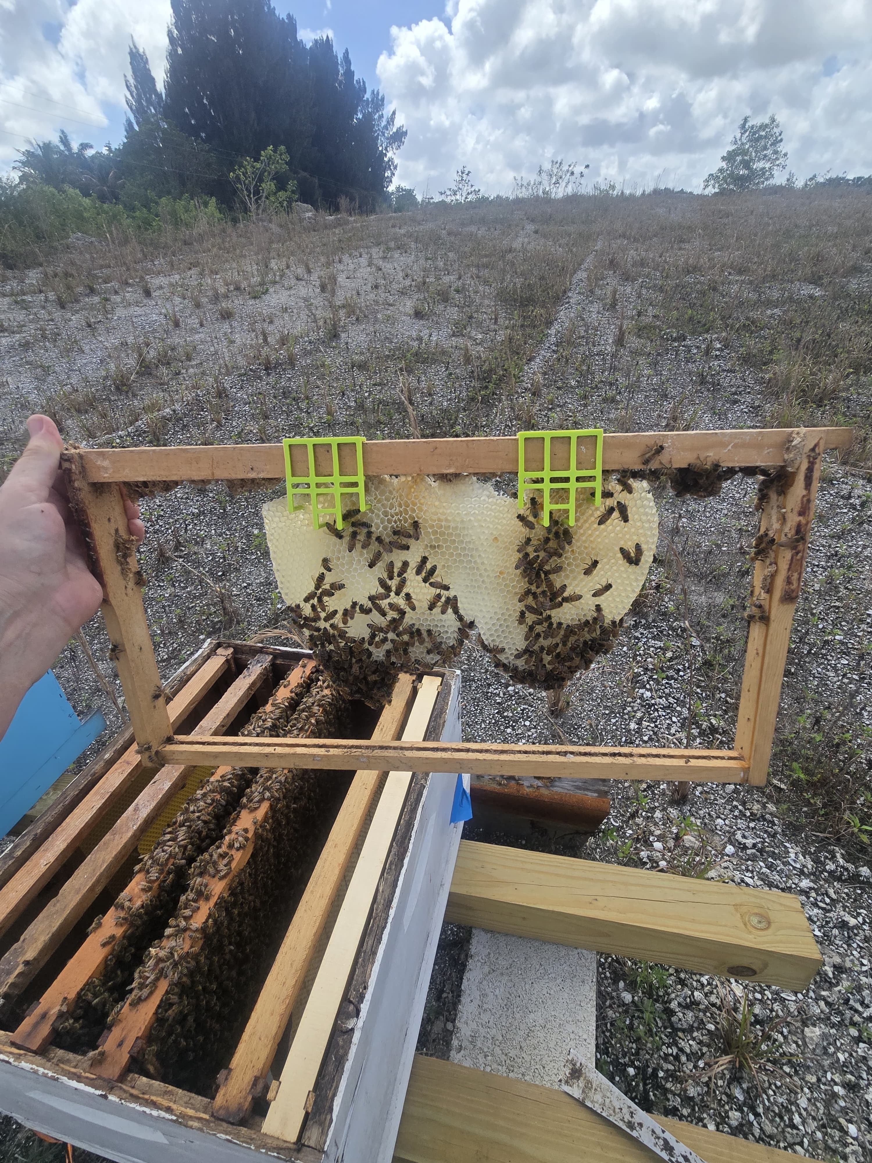 USA MADE Bee Hive Components – Lorob Bees LLC