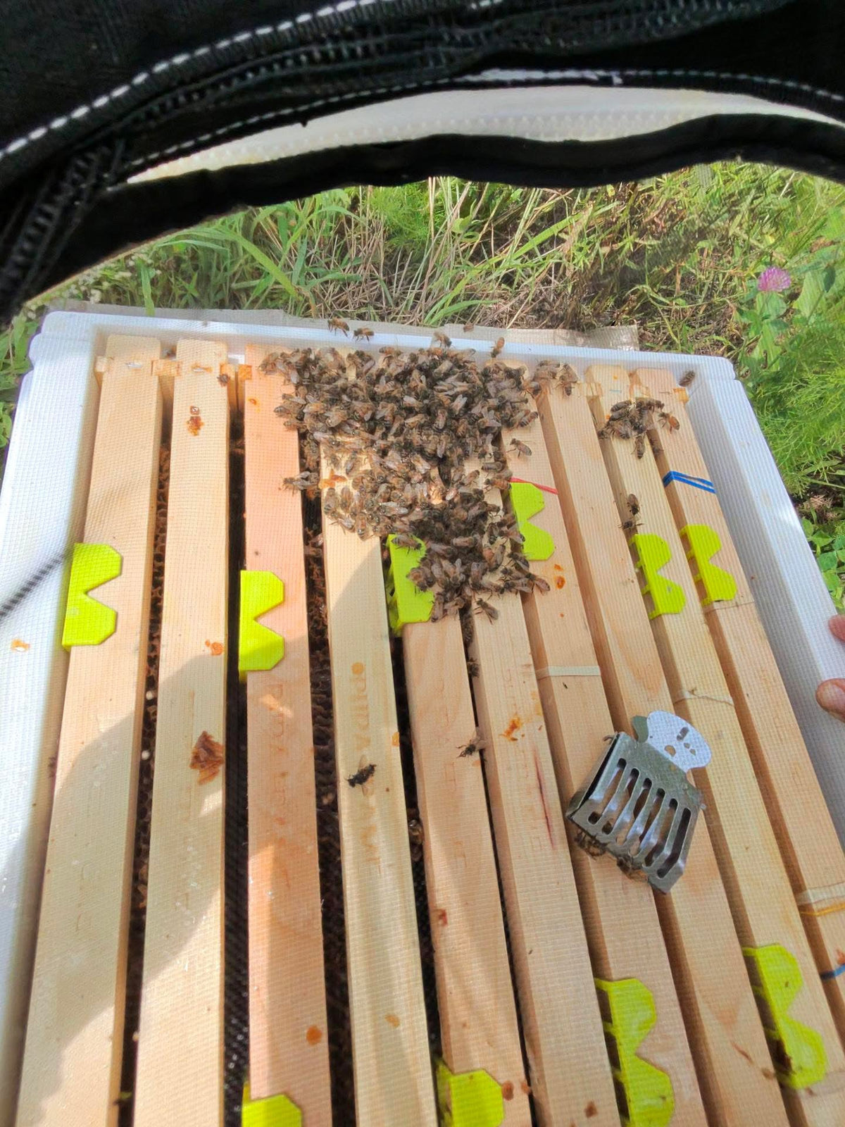 Comb Keeper: Comb Recovery Tool