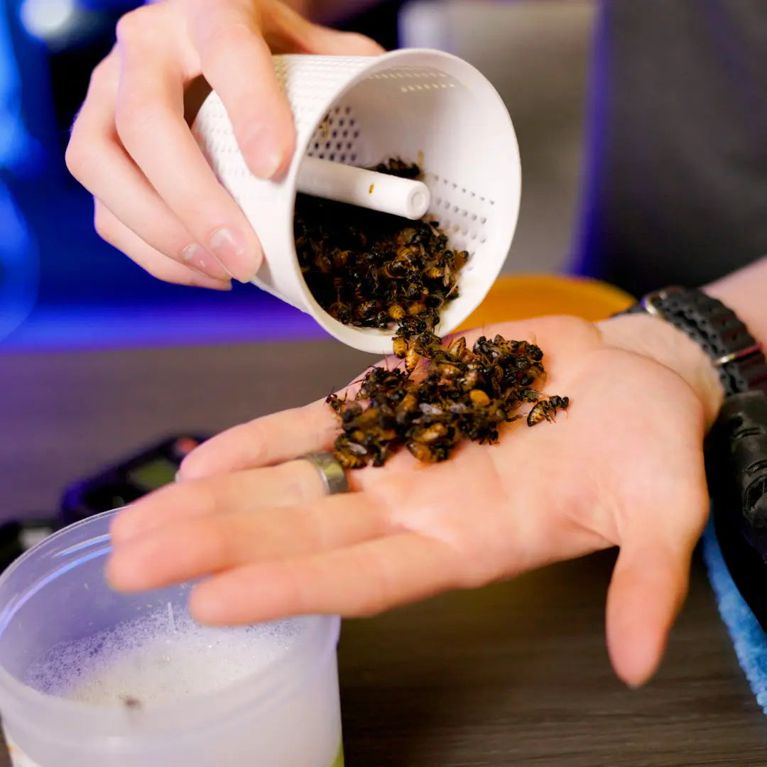 Lorobbees Quick Dry: Precision and Efficiency for Beekeepers Lorob Bees LLC