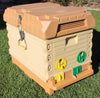 7 Frame NUC White Bee Hive Set Apimaye-USA