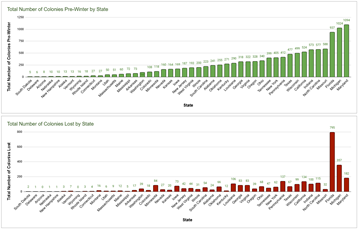 Thumbnail for Total Colonies and Losses by State